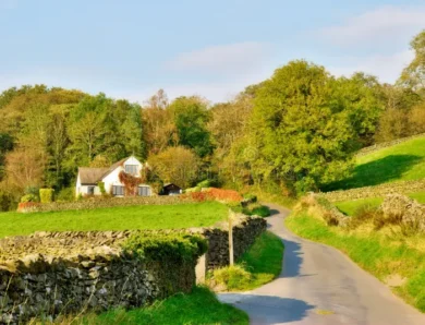 Designing Landscapes that Boost Property and Community Value